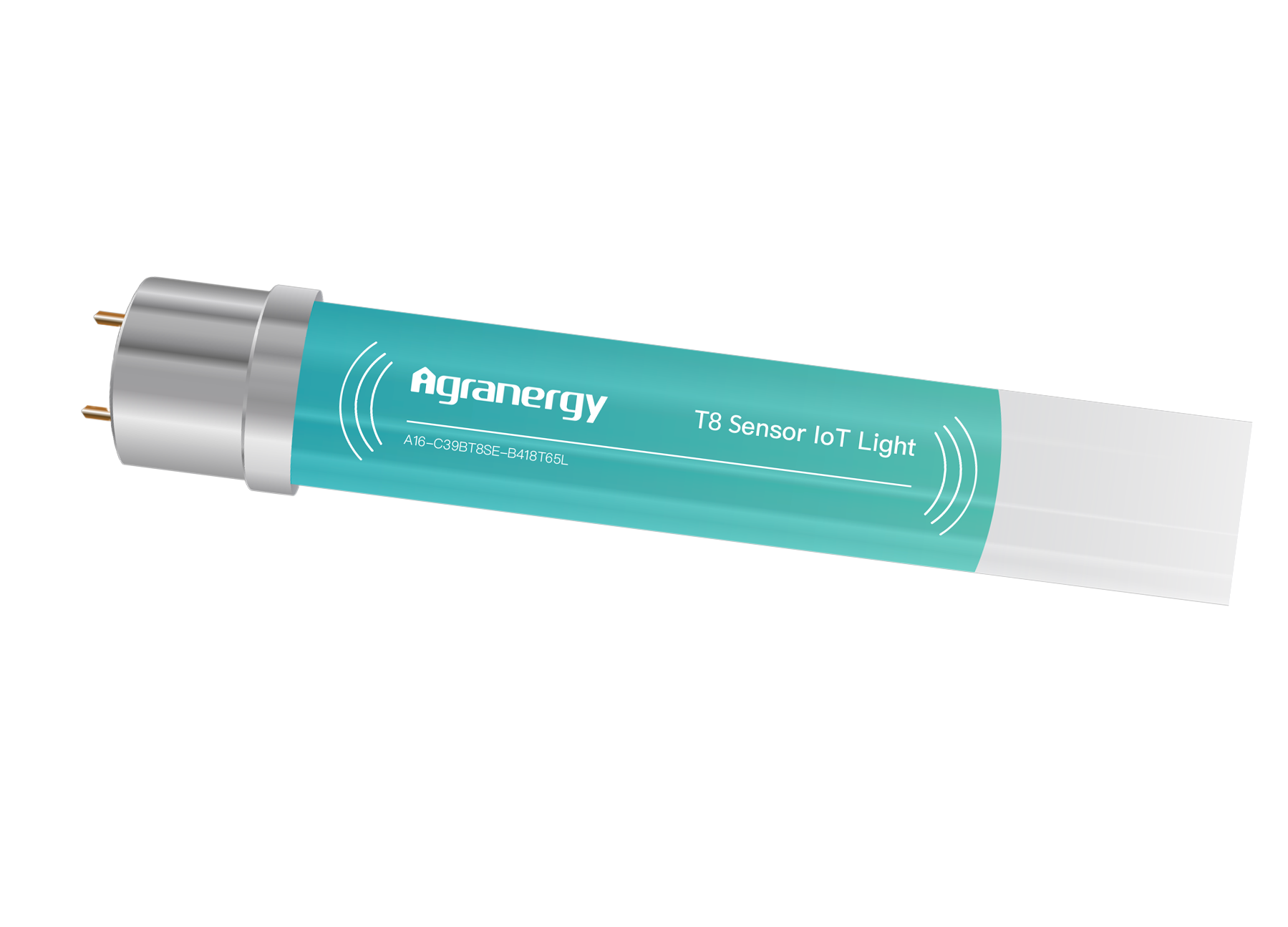 product_5_bg
